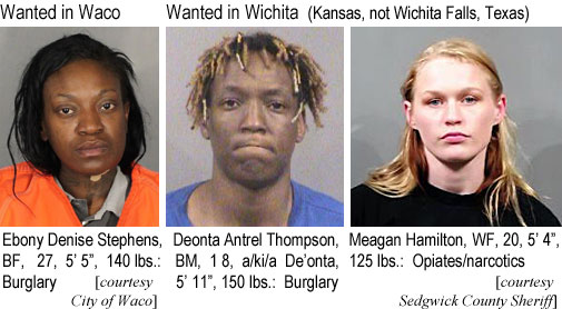 deebony.jpg Wanted in Waco: Ebony Denise Stephens, BF, 27, 5'5", 140 lbs, burglary (City of Waco); Wanted in Wichita (Kansas, not Wichita Falls, Texas): Deonta Antrel Thompson, BM, 18, a/k/a De'onta, 5'11", 150 lbs, burglary; Meagan Hamilton, WF, 20, 5'4", 125 lbs, opiates/narcotics (Sedgwick County Sheriff)