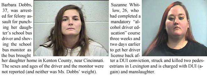 Barbara Dobbs, 37, was arrested for felony assault for punching her daughter's school bus driver in the face and shoving the school bus monitor as the bus brought her daughter home in Kenton County, near Cincinnati. The sexes and ages of the driver and the monitor were not reported (and neither was Ms. Dobbs' weight). Suzanne Whitlow, 26, who had completed a mandatory "alcohol driver education" course three weeks and two days earlier, to get her driver license back after a DUI conviction, struck and killed two pedestrians in Lexington and is charged with DUI (again) and manslaughter.