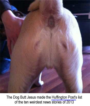 The Dog Butt Jesus made the Huffington Post's list of ten weirdest news stories of 2013