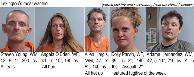 dollypar.jpg Lexington's most wanted (pulled kicking and screaming from the Herald-Leader): Steven Young, WM, 42, 6'1", 200 lbs, all ears; Angela O'Brien, WF, 41, 5'10", 160 lbs, all hair; Allen Hargis, WM, 47, 5'8", 140 lbs, all het up; Dolly Parvin, WF, 35, 5'3", 140 lbs, assault 2°, featured fugitive of the week; Adame Hernandez, WM, 42, 5'11", 210 lbs, all in
