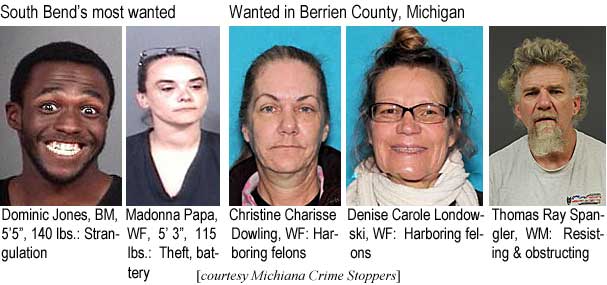dominicm.jpg South Bend's most wanted: Dominic Jones, BM, 5'5", 140 lbs, strangulation: Madonna Papa, WF, 5'3", 115 lbs, theft, battery; Wanted in Berrien County, Michigan: Christine Charisse Dowling, WF, haboring felons; Denise Carole Londowski, WF, harboring felons; Thomas Ray Spangler, WM, resisting & obstructing (Michiana Crime Stoppers)