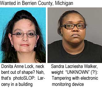 donitsan.jpg Wanted in Berrien County, Michigan: Donita Anne Lock, neck bent out of shape? Nah, that's photoSLOP, larceny in a building; Sandra Lacriesha Sanders, weight UNKNOWN ?!, tampering with an electronic monitoring device
