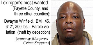 dwaynewd.jpg Lexington's most wanted (Fayette County, and three other counties): Dwayne Winfield, BM, 46, 6'2", 300 lbs, parole violation (theft by deception) (Bluegrass Crime Stoppers)