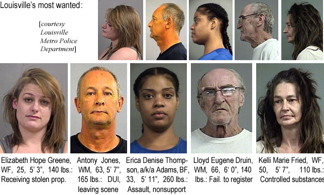 elizhope.jpg Louisville's Most Wanted (Louisville Metro Police Department): Elizabeth Hope Greene, WF, 25, 5'3", 140 lbs, receiving stolen prop.; Anony Jones, WM, 63, 5'7", 165 lbs, DUI, leaving scene; Erica  Denise Thompson a/k/a Adams, BF, 33, 5'11",  260 lbs, assault, nonsupport; Lloyd Euene Druin, WM, 66, 6'0", 140 lbs, fail. to register; Kelli Marie Fried, WF, 50, 5'7", 110 lbs, controlled substances