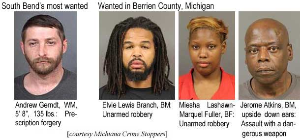 elviejer.jpg South Bend's most wanted: Andrew Gerndt, WM, 5'8", 135 lbs, prescription forgery; Wanted in Berrien County, Michigan: Elvie Lewis Branch, BM, unarmed robbery; Miesha Lashawn-Marquel Fuller, BF, unarmed robbery; Jerome Atkins, BM, upside down ears, assault with a dangerous weapon (Michiana Crime Stoppers)