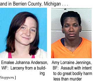 and in Berrien County, Michigan: Emalee Johanna Anderson WF , larceny from a building; Amy Lorraine Jennings, BF, assault with intent to do great bodily harm less than murder