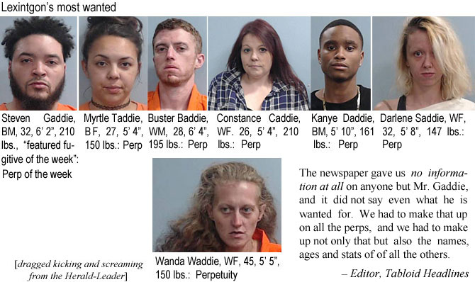 gaddiess.jpg Lexington's most wanted: Steven Gaddie, BM, 32, 6'2", 210 lbs, "featured fugitive of the week", perp of the week; Myrtle Taddie, WF, 27, 5'4", 150 lbs, perp; Buster Baddie, WM, 28, 6'4", 195 lbs, perp; Constance Caddie, WF, 5'4", 210 lbs, perp; Kanye Daddie, BM, 5'10", 161 lbs, perp; Darlene Saddie, WF, 32, 5'8", 147 lbs, perp: Wanda Waddie, WF, 45, 5'5", 150 lbs, perpetuity (dragged kicking and screaming from the Herald-Leader) the newspaper gave us no information at all on anyone but Mr. Gaddie, and it did not say even what he is wanted for; we had to make that up on all the perps, and we had to make up not only that but also the names, ages and stats of all the others - Editor, Tabloid Headlines