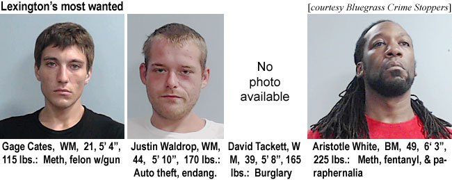 gagecate.jpg Lexington's most wanted (Bluegrass Crime Stoppers): Gage Cates,WM, 21, 5'4", 115 lbs, meth, felon w/gun; Justin Waldrop, WM, 44, 5'10", 170 lbs, auto theft, endang.; no photo available, David Tackett, WM, 39, 5'8", 165 lbs, burglary; Aristotle White, BM, 49, 6'3", 225 lbs, meth fentanyl, & paraphernalia