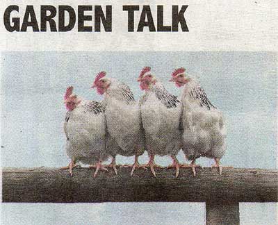 Garden talk