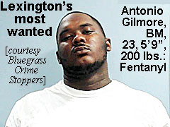gilmorea.jpg Lexinton's most wanted: Andrea Gilmore, BM, 23, 5'9", 200 lbs, fentanyl (Bluegrass Crime Stoppers)