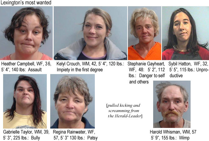 heathgab.jpg Lexington's most wanted: Heather Campbell, WF, 36, 5'4", 140 lbs assault; Kelyl Crouch, WM, 42, 5'4" 120 lbs, impiety in the first degree; Stephanie Gayheart, WF, 48, 5'2", 112 lbs, danger to sell and others; Sybil Hatton, WF, 32, 5'5", 115 lbs, unproductive; Gabrielle Taylor WM, 39, 5'3", 225 lbs, bully; Regina Rainwater, WF, 57, 5'3", 130 lbs, patsy; Harold Whisman, WM, 57, 5'9", 155 lbs, wimp (pulled kicking and screaming from the Herald-Leader)