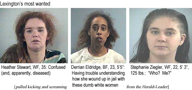 heatstep.jpg Lexington's most wanted: Heather Stewart, WF, confused (and, apparently, diseased); Derrian Eldridge, BF, 23, 5'5", having trouble understanding how she wound up in jail with these dumb white women; Stephanie Ziegler, WF, 5'3", 125 lbs, who? me? (pulled kicking and screaming from the Herald-Leader)