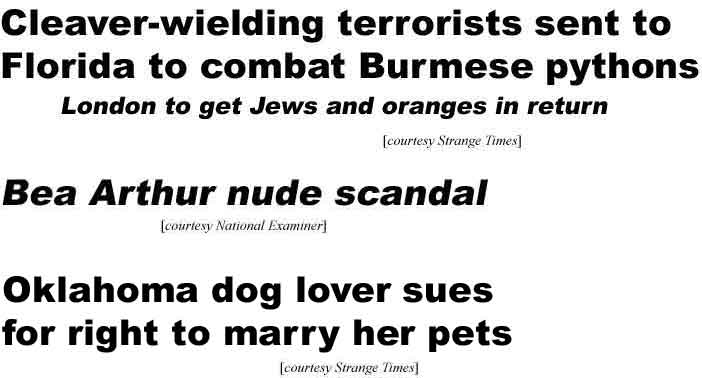 Cleaver-wielding terrorists sent to Florida to combat Burmese pythons; London to get Jews and oranges in return (Strange Times); Bea Arthur nude scandal (Examiner); Oklahoma dog lover sues for right to marry her pets (Strange Times)