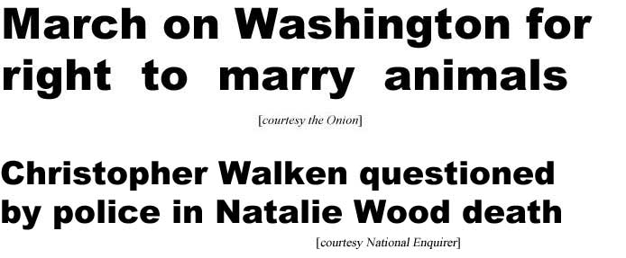 March on Washington for right to marry animals (Onion); Christopher Walken questioned by police in Natalie Wood death (Enquirer)