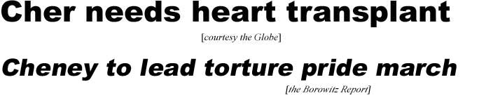 Cher needs heart transplant (Globe); Cheney to lead torture pride march (Borowitz Report)