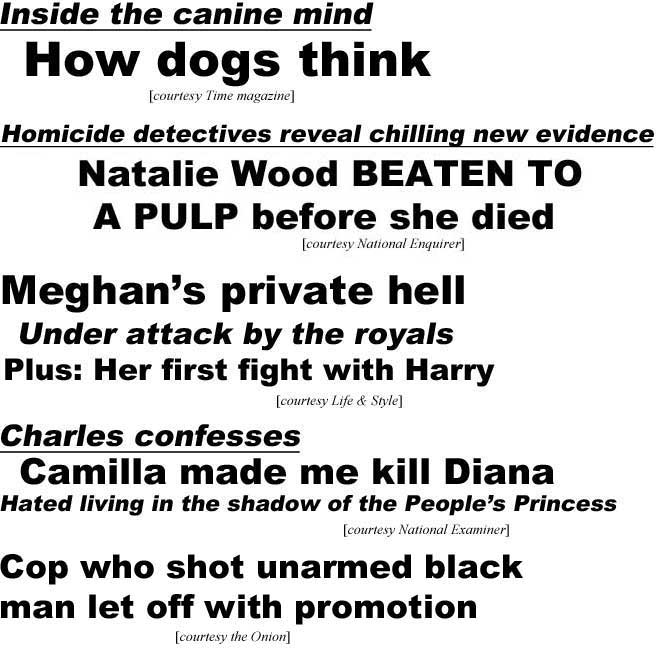 Inside the canine mind, how dogs think (Time magazine); Homicide detectives reveal chilling new evidence, Natalie Wood beaten to a pulp before she died (Enquirer); Meghan's private hell, under attack by the royals, plus: her first fight with Harry (Life & Style): Charles confesses, Camilla made me kill Diana, hated living in the shadow of the People's Princess (Enquirer); Cop who shot unarmed black man let off with promotion (Onion)