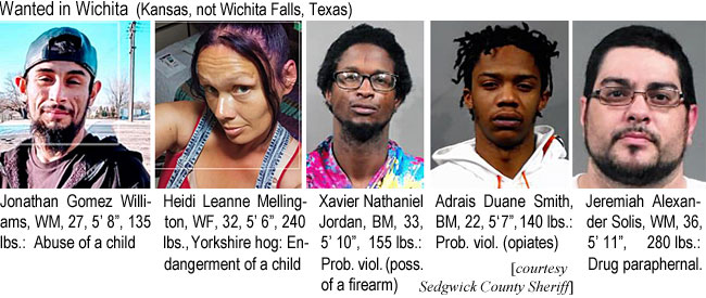 heidilee.jpg Wanted in Wichita (Kansas, not Wichita Falls, Texas): Jonathan Gomez Williams, WM, 27, 5'8", 135 lbs, abuse of a child; Heidi Leanne Mellington, WF, 32, 5'6", 240 lbs, Yorkshire hog, endangerment of a child; Xavier Nathaniel Jordan, BM, 33, 5'10", 155 lbs, prob. viol. (poss. of a firearm); Adrais Duane Smith, BM, 22, 5'7", 140 lbs, prob. viol. (opiates); Jeremiah Alexander Sol8is, WM, 36, 5'11", 280 lbs, drug paraphern. (Sedgwick County Sheriff)