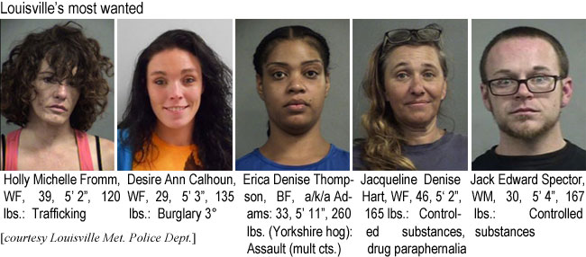holfromm.jpg Louisville's most wanted: Holly Michelle Fromm, WF, 39, 5'2", 120 lbs, trafficking; Desire Ann Calhoun, WF, 29, 5'3", 135 lbs, burglary 3°; Erica Denis Thompson, BF, a/k/a Adams, 33, 5'11", 260 lbs (Yorkshire hog), assault (mult. cts.); Jacqueline Denise Hart, WF, 46, 5'2", 165 lbs, controlled substances, drug paraphernalia; Jack Edward Spector, WM, 30, 5'4", 167 lbs, controlled substances (Louisville Met. Police Dept)