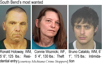 holowayr.jpg South Bend's most wanted: Ronald Holoway, WM, 5'6", 125 lbs, residential entry; Connie Woznicki, WF, 5'4", 130 lbs, theft; Bruno Cataldo, WM, 6'1", 175 lbs, intimidation (Michiana Crime Stoppers)
