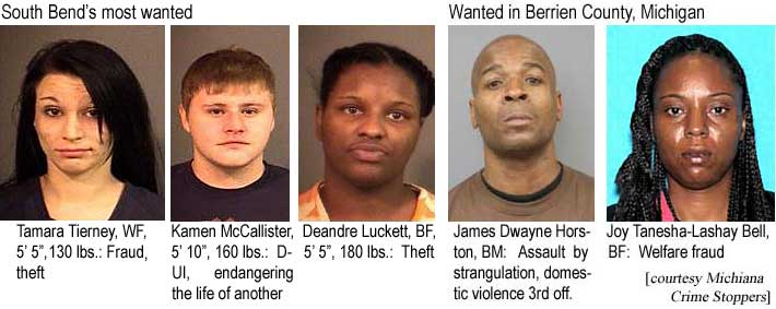South Bend's most wanted: Tamara Tierney, WF, 5'5", 130 lbs, Fraud, theft; Kamen McCallister, 5'10", 160 lbs, DUI, endangering the life of another; Deandre Luckett, BF, 5'5", 180 lbs, theft; Wanted in Berrien County, Michigan: James Dwayne Horston, BM, assault by strangulation, domestic violence 3rd off.;Joy Tanesha-Lashay Bell, BF, welfare fraud (Michiana Crime Stoppers)