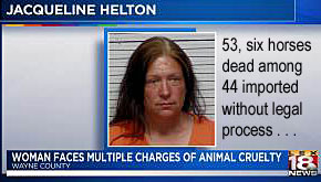 horsewom.jpg Jacqueline Helton, 53, six horses dead among 4r4 imported without legal process, woman faces multiple charges of animal cruelty, Wayne County, Lex18