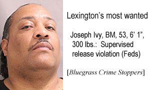 ivyjosph.jpg Lexington's most wanted: Joseph Ivy, BM, 53, 6'1", 300 lbs, supervised release violation (feds) (Bluegrass Crime Stoppers)