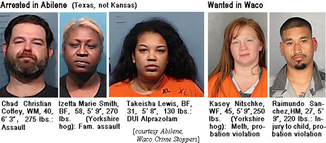 izettamsm.jpg Arrested in Abilene (Kansas, not Texas): Chad Christian Coffey, WM, 40, 6'3", 275 lbs, assault; Izetta Marie Smith, BF, 58, 5'9", 270 lbs (Yorkshire hog), fam. assault; Takeisha Lewis, BF, 31, 5'8", 130 lbs, DUI Alprazolam; Wanted in Waco: Kasey Nitschke, WF, 46, 5'9", 250 lbs (Yorkshire hog); meth, probation violation; Raimundo Sanchez, HM, 27, 5' 9", 220 lbs, injury to child, probation violation (Abilene, Waco Crime Stoppers)