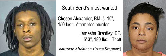 jameshab.jpg South Bend's most wanted: Chosen Alexander, BM, 5'10", 150 lbs, attempted murder; Jamesha Brantley , BF, 5'3", 180 lbs, Theft (Michiana Crime Stoppers)