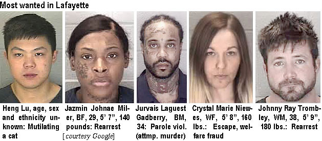 jazminjo.jpg Wanted in Tippecanoe County: Heng Lu, age, sex & ethnicity unknown, mutilating a cat; Jazmin Johnae Miller, BF, 29, 5'7", 140 lbs, rearrest; Jurvais Laquest Gadberry, BM, 34, parole viol. (attmp. murder); Crystal Marie Niewes, WF, 5'8", 160 lbs,escape, welfare fraud; Johnny Ray Trombley, WM, 28, 5'9", 180 lbs, rearrest (Google)