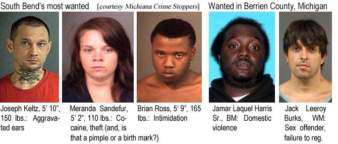 jomerand.jpg South Bend's most wanted (Michiana crime stoppers) Joseph Keltz,, 5'10", 150 lbs, aggravated ears; Meranda Sandefur, 5'2", 110 lbs, cocaine, theft (and, is that a pimple or a birth mark?); Brian Ross, 5'9", 165 lbs, intimidation; Wanted in Berrien County, Michigan: Jamar Laquel Harris Sr., BM, domestic violence; Jack Leeroy Burks, WM, sex offender, failure to reg.