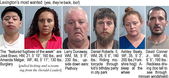 josebrav.jpg Lexington's most wanted (they're back, too); The "featured fugitives of thw week" are Jose Bravo, HM, 21. 5'10", 160 lbs, and Amanda Melgar, WF, 40, 5'11", 130 lbs, burglary; Larry Dunaway, WM, 5'9", 230 lbs, upside down ears; Daniel Roberts II, WM, 28, 5'6", 140 lbs., riding motorcycle through kid's birthday party in city park; Ashley Beaty, WF, 35, 5'3", Yorkshire hog, asleep at the wheel; David Conner Jr., WM, 40, 6'5", 190 lbs, reckless driving (too tall to see through minivan windshield) (pulled kicking and screaming from the Herald-Leader)