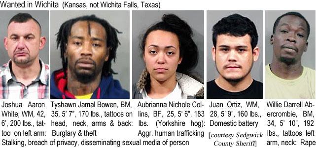 joshaarn.jpg Wanted in Wichita (Kansas, not Wichita Falls,Texas): Joshua Aaron White, WM, 42, 6', 200 lbs, tattoo on left arm, stalking, breach of privacy, disseminating sexual media of person; Tyshawn James Bowen, BM, 35, 5'7", 170 lbs, tattoos on head, neck, arms & back, burglary & theft; Aubrianna Nichole Collins, BF, 25, 5'6", 183 lbs (Yorkshire hog), aggr. human trafficking; Juan Ortiz, WM, 28, 5'9", 160 lbs, domestic battery; Willie Darrell Abercrombie, BM, 334, 5'10", 192 lbs, tattoos left arm, nexk, rape (Sedgwick County Sheriff)
