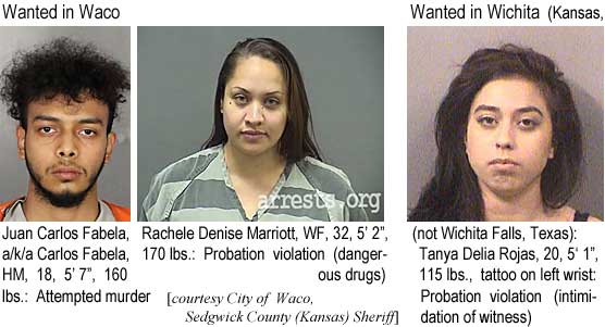juanrach.jpg Wanted in Waco: Juan Carlos Fabela, a/k/a Carlos Fabela,, HM, 18, 5'7", 160 lbs, attempted murder; Rachele Denise Marriott, WF, 32, 5'2", 170 lbs, probation violation (dangerous drugs); Wanted in Wichita (Kansas, not Wichita Falls, Texas): Tanya Delia Rojas, 20, 5'1", 115 lbs, tattoo on left wrist, probation violation (intimidation of witness) (City of Waco, Sedgwick County (Kansas) Sheriff)