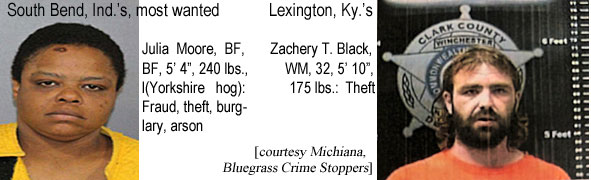 julblack.jpg South Bend, Ind.'s, most wanted: Julia Moore, BF, 5'4", 240 lbs (Yorkshire hog), fraud, theft, burglary, arson; Lexington, Ky.'s: Zachery T. Black, WM, 32, 5'10", 175 lbs, theft (Michiana, Bluegrass Crime Stoppers)