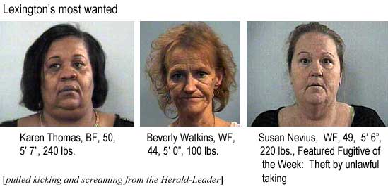 Lexington's most wanted: Karen Thomas, BF, 50, 5'7", 240 lbs; Beverly Watkins, WF, 44, 5'0", 100 lbs; Susan Nevius, WF, 49, 5'6:, 220 lbs, Featured Fugitive of the Week, theft by unlawful taking (pulled kicking and screaming from the Herald-Leader)