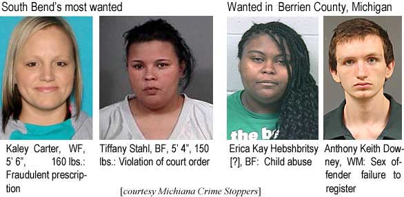 kaleytif.jpg South Bend's most wanted: Kaley Carter, WF, 5'6", 160 lbs, fraudulent prescription; Tiffany Stahl, BF, 5'4", 150 lbs, violation of court order; Wanted in Berrien County, Michigan: Erica Kay Hebshbritsy (?), BF, child abuse; Anthony Keith Downey, WM, sex ofender failure to register (Michiana Crime Stoppers)