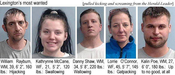 kathrynn.jpg Lexington's most wanted: (pulled kicking and screaming from the Herald-Leader): William Rayburn, WM, 39, 6'2", 160 lbs, hijacking; Kathrynne McCane, WF, 21, 5'2", 120 lbs, swallowing; Danny Shaw, WM, 34, 5'8", 220 lbs, wallowing; Lorrie O'Connor, WF, 45, 5'7", 145 lbs, gatpacking; Kalin Poe, WM, 27, 6'0", 180 lbs, up to no good, at all