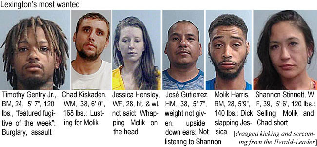 kiskaden.jpg Lexington's most wanted: Timothy Gentry Jr., BM, 24, 5'7", 120 lbs, featured fugitive of the week, burglary, assault; Chad Kiskaden, WM, 38, 6'0", 168 lbs, lusting for Molik; Jessica Hensley, WM, 28, ht & wt not said, Whapping Molikon the head; José Gutierrez, HM, 38, 5'7", weight not given, upside down ears, Not listening to Shannon; Molik Harris, BM, 28, 5'9", 140 lbs, dick slapping Jessica; Shannon Stinnett, WF, 39, 5'6", 120 lbs, selling Molik and Chad short (dragged kicking & screaming from the Herald-Leader)