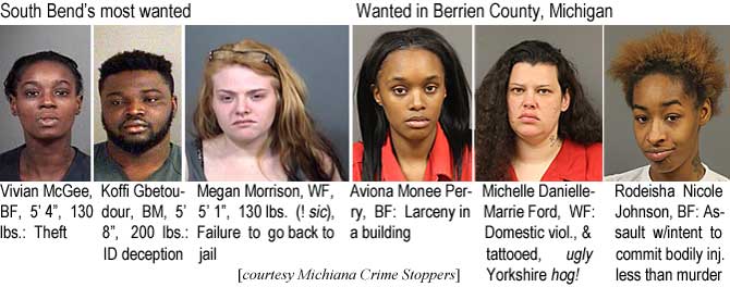 koffiviv.jpg South Bend's most wanted: Vivian McGee, BF, 5'4", 130 lbs, theft; Koffi Gbetoudour, BM, 5'8", 200 lbs, ID deception; Megan Morrison, WF, 5'1", 130 lbs (! sic), failure to go back to jail; Wanted in Berrien County, Michigan: Aviona Monee Perry, BF, larceny in a building; Michelle Danielle-Marrie Ford, WF, domestic viol, & tattooed, ugly, Yorkshire hog; Rodeisha Nicole Johnson, BF, assault w/intent to commit bodily inj. less than murder (Michiana Crime Stoppeers)