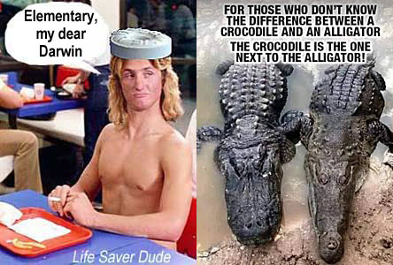 lifedarw.jpg For those who don't know the difference betwwen a crocodile and an alligator: The crocodile is the one nex to the alligator! Life Saver Dude: Elementary, my dear Darwin