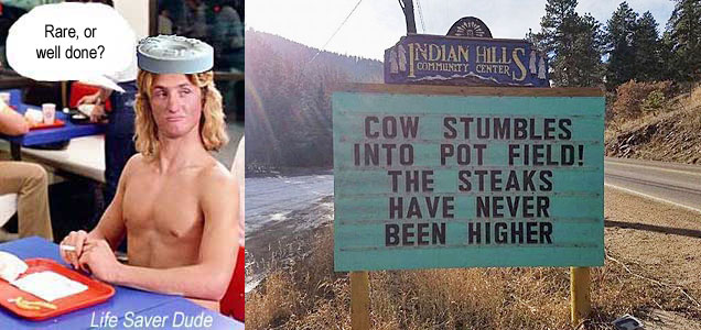 lifedone.jpg Indian Hills Community Center: Cow stumbles into pot field! The steaks have neveer been higher! Life Saver Dude: Rare, or well dones?
