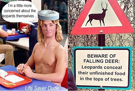 lifeleop.jpg Beware of falling deed; leopards conceal their unfinished food in the tops of trees Life Saver Dude: "I'm a little more concerned about the leopards themselves"