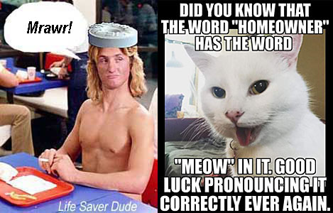 lifemeow.jpg Did you know that the word "homeowner" has the word "meow" in it? Good luck pronouncing it correctly ever again Life Saver Dude: Mrawr!
