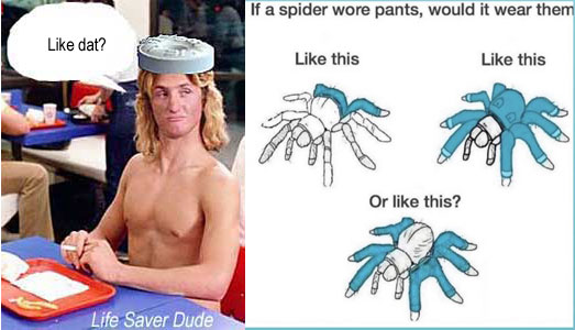 lifespid.jpg If a spider wore pants, would it wear them            like this? Like this? Or like this? Life Saver DudeL Like dat?
