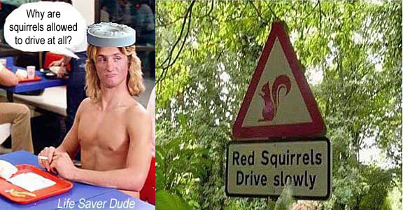 lifesqui.jpg Rerd squirrels drive slowly Life Saver Dude: Why are swuirrels allowed to drive at all?
