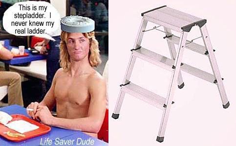 lifestep.jpg Life Saver Dude: That's my stepladder - I never knew my real ladder