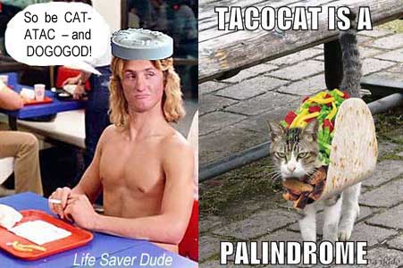 lifetaco.jpg TACOCAT is a PALINDROME Life Saver Dude: So be CATATAC and DOGOGOD