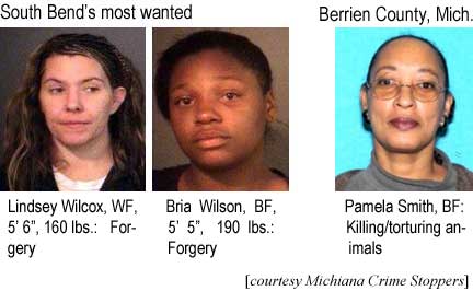 South Bend's most wanted: Lindsey Wilcox, WF, 5'6", 160 lbs, forgery; Bria Wilson, BF, 5'5", 190 lbs, forgery; Berrien County, Mich.: Pamela Smith, BF, killing/torturing animals (Michiana Crime Stoppers)