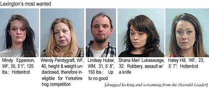 lukasava.jpg Lexington's most wanted: Mindy Epperson, WF, 36, 5'1", 120 lbs, hottentrot; Wendy Pendygraft, WF, 40, height & weight not disclosed, therefore ineligible for Yorkshire hog competition; Lindsay Huber, WM, 31, 5'8", 150 lbs, up to no good; Shana Mari' Lukasavage, 32, robbery, assault w/a knife; Haley Hill, WF, 23, 5'7", hottentrot (dragged kicking and screaming from the Herald-Leader)