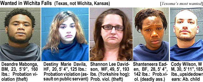 mabongad.jpg Wanted in Wichita Falls (Texas, not Wichita,Kansas) (Texoma's most wanted): Deandre Mabonga, BM, 23, 5'9",160 lbs, probation violation (theft); Destiny Marie Davila, HF, 20, 5'4", 125 lbs, probaton violation (assault on public servant); Shannon Lee Davidson, WF, 49, 5', 193 lbs (Yorkshire hog), prob. viol. (theft); Shanteenera Eaden, BF, 28, 5'4", 142 lbs, prob.viol. (deadly ass.); Cody Wilson, WM, 30, 5'11", 185 lbs, upside down ears, ab.child